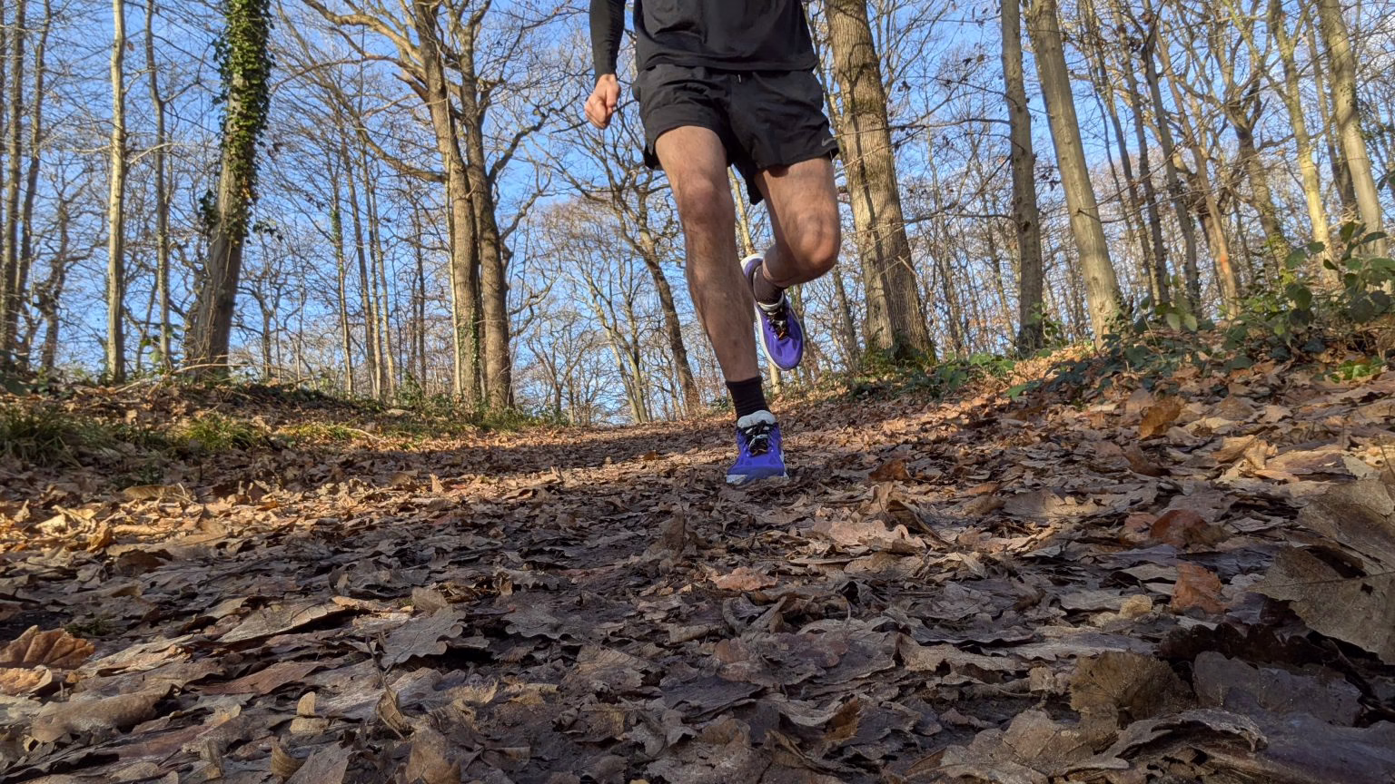 Test delle ASICS Trabuco 14 in foresta