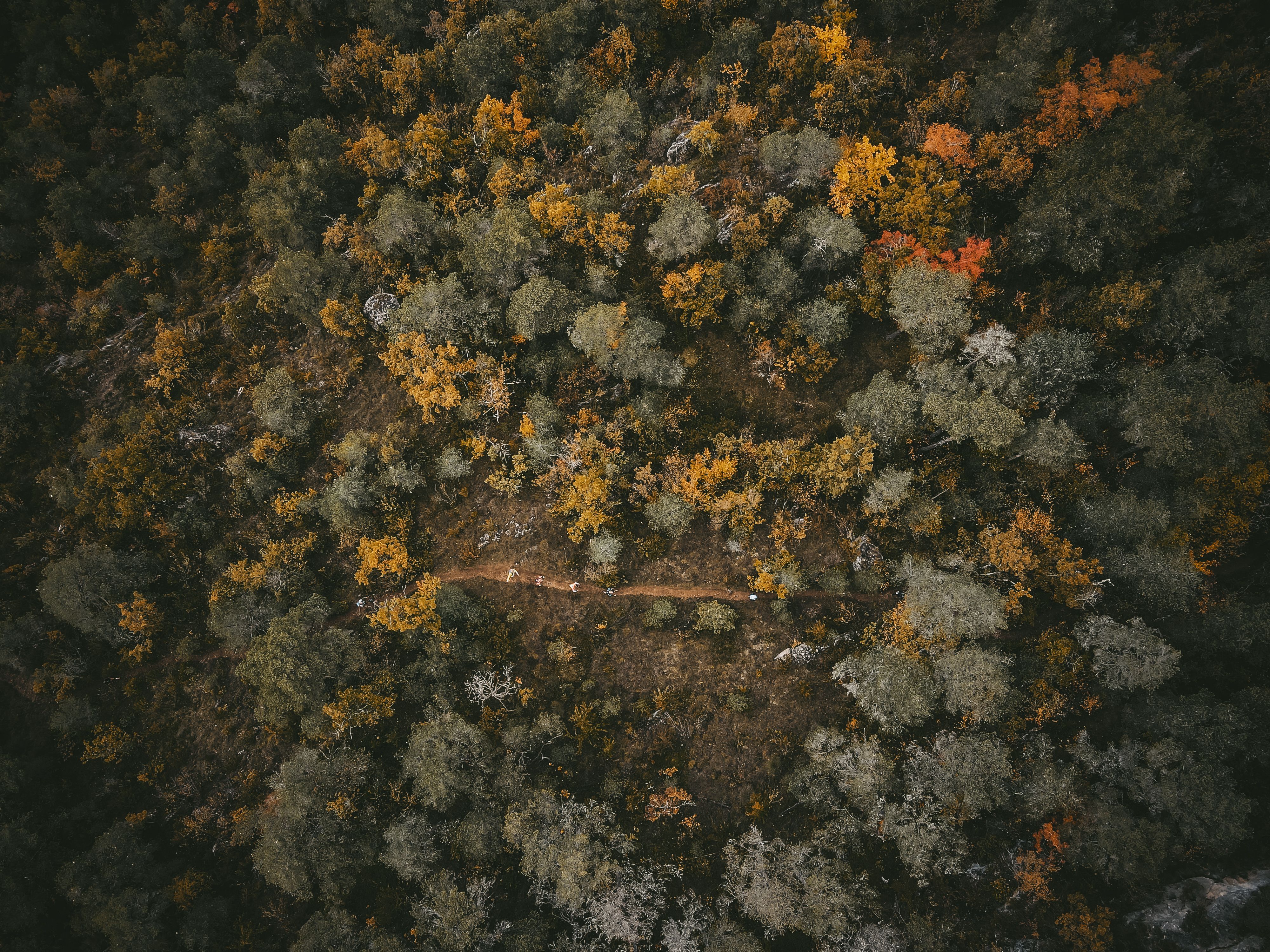 Autor del blog Paula Ruiz