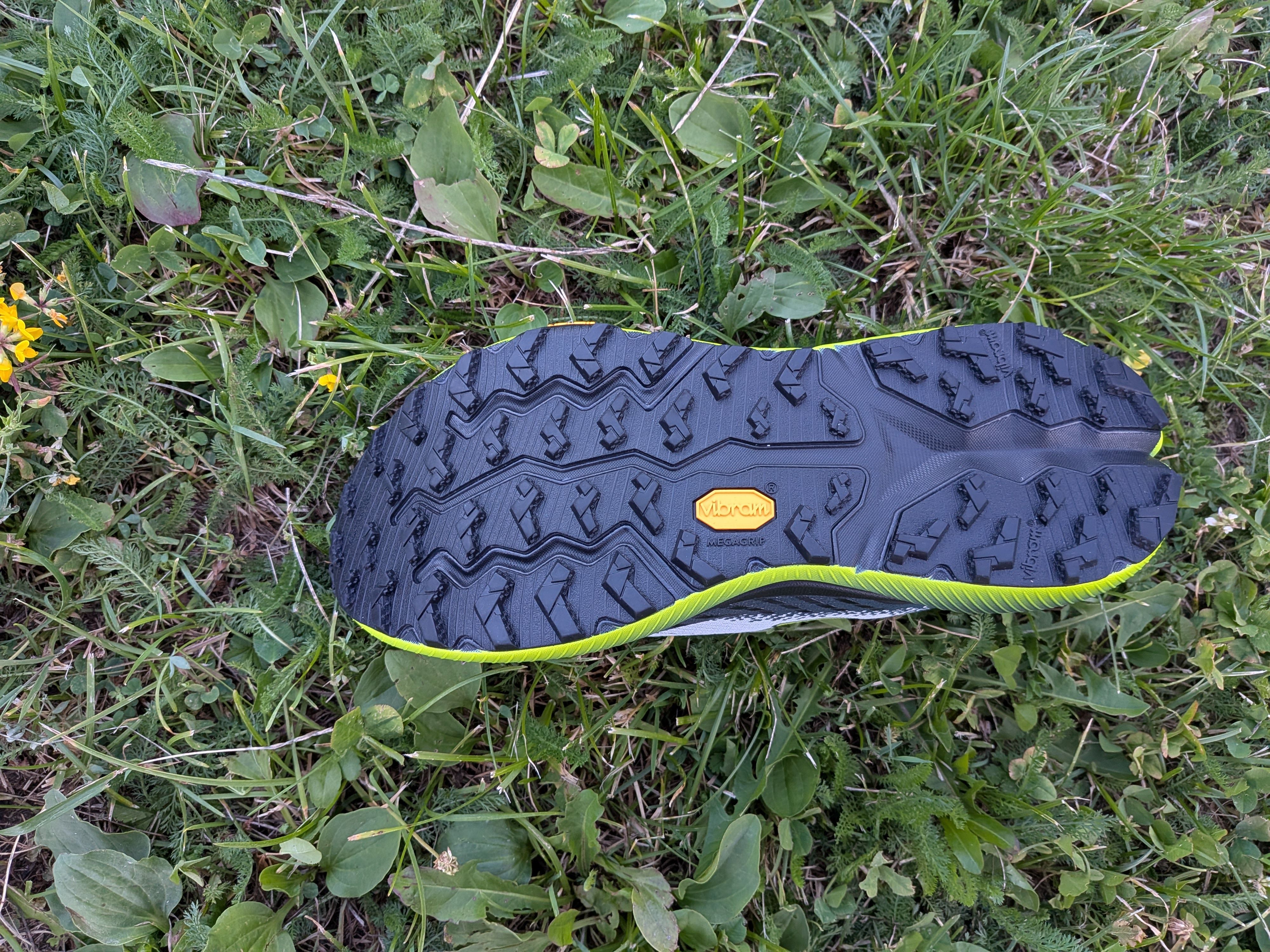 Crampons de la Brooks Cascadia 20