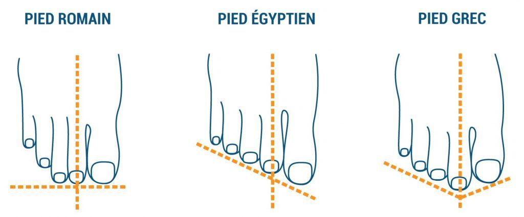 Infographie type de pied