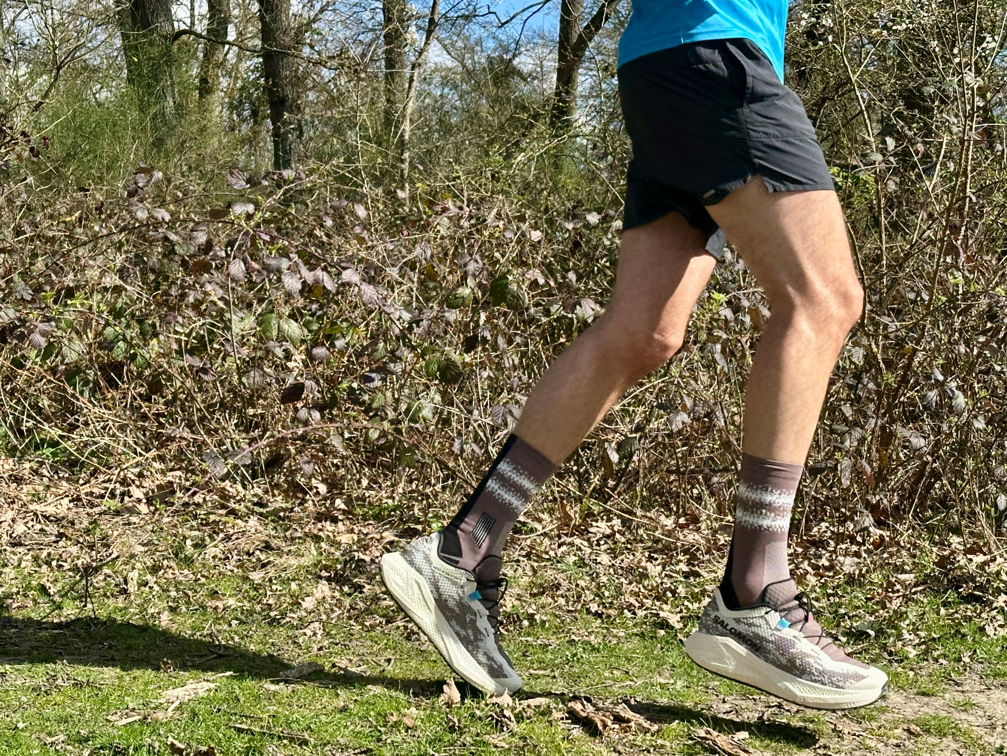 Salomon Aero Glide 4 GRVL