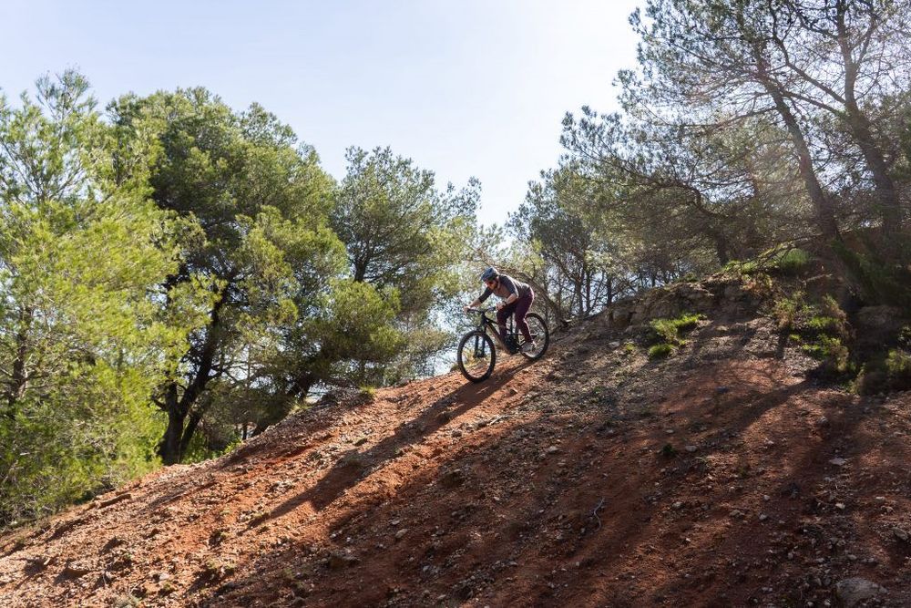 Mondraker SLY RR