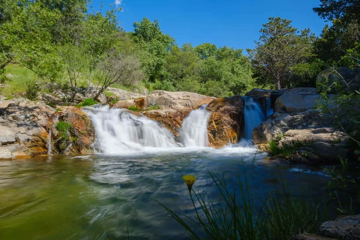 pedriza charca verde