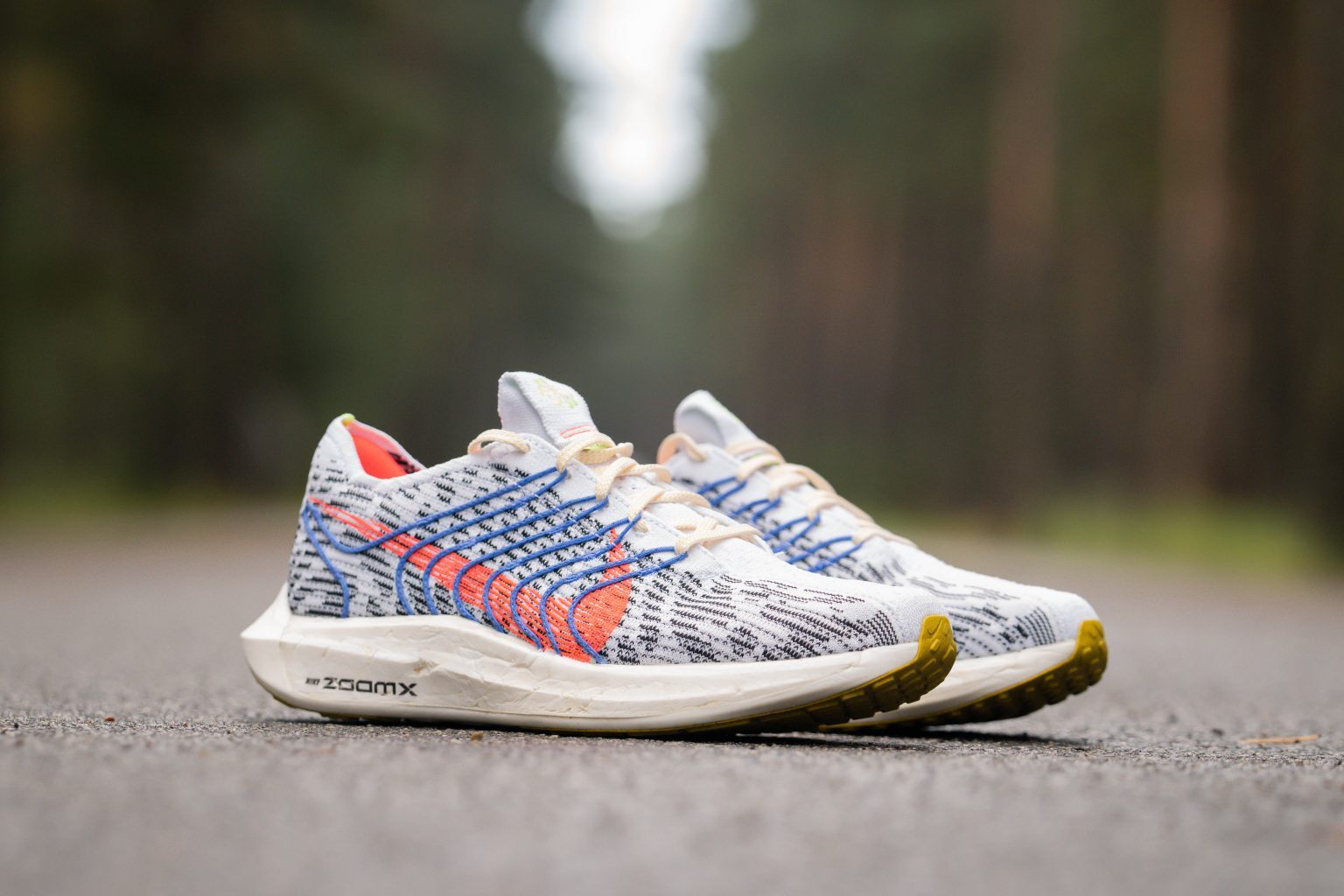 scarpe Nike Pegasus Turbo Next Nature